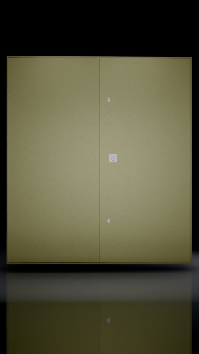 Panel Door Steel – Double Sash Hollow Type
