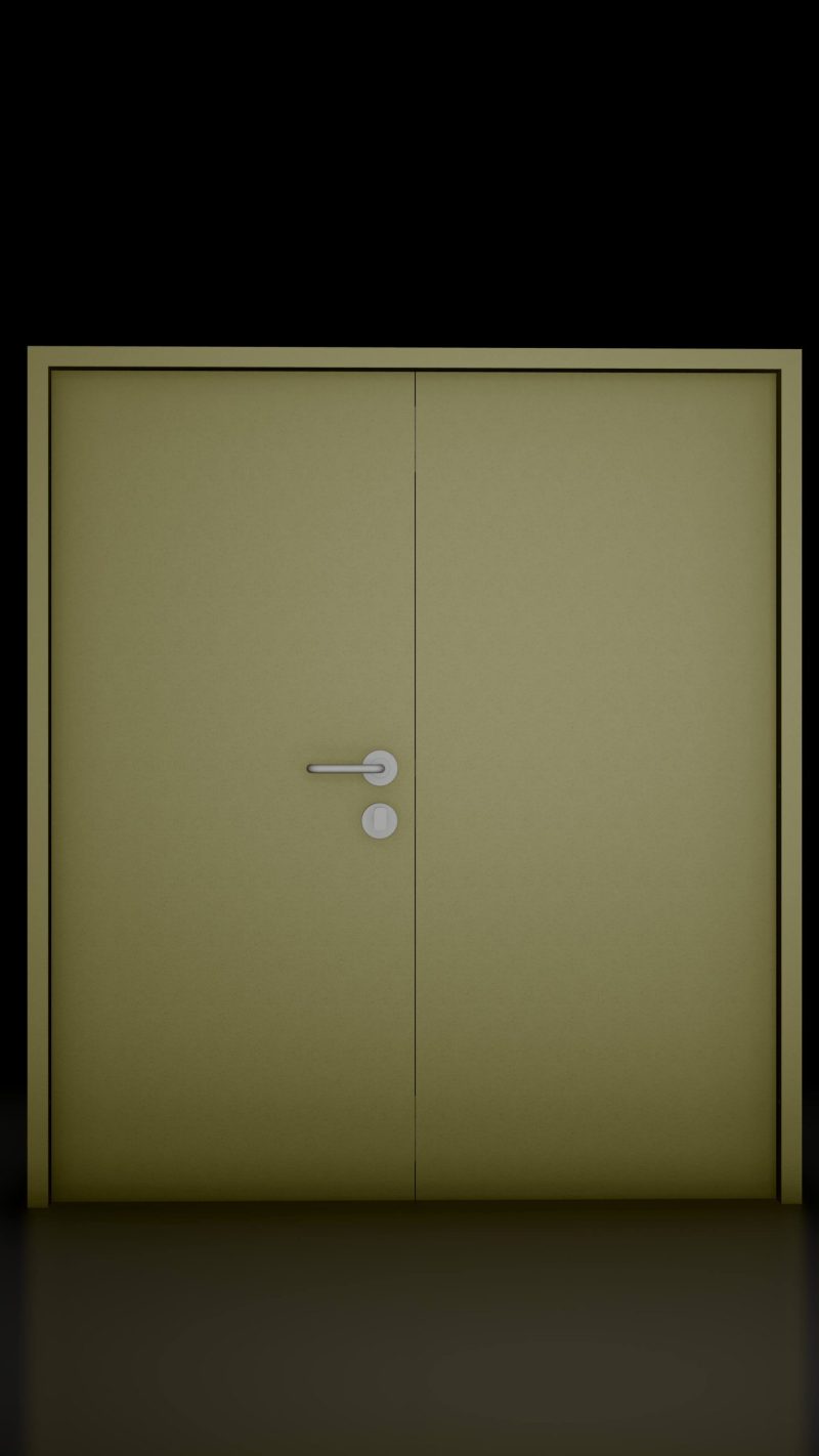 Fire Rated Steel Double Door – SAGA Double Sash Type 3