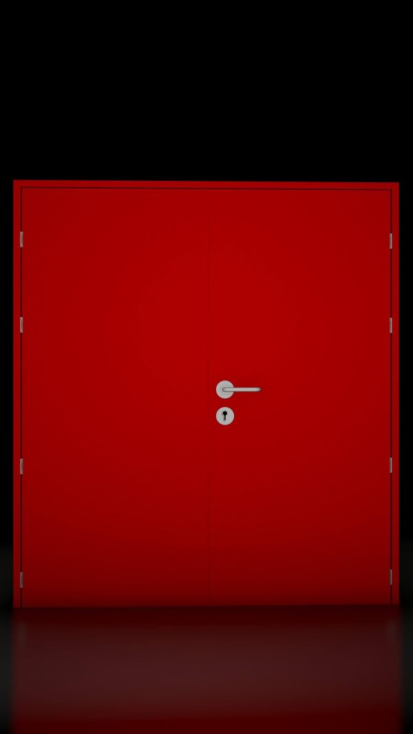SAGA Double Sash Fire Door Type 2